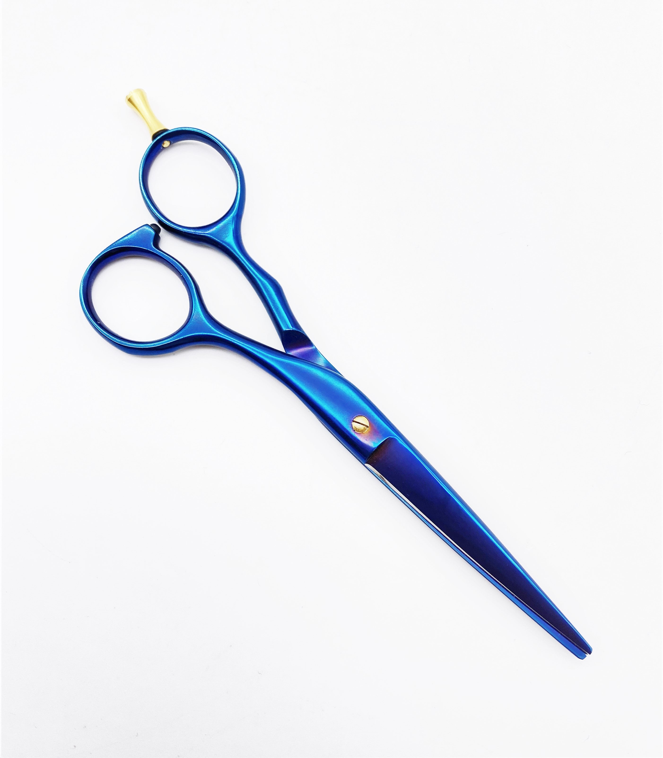NTS Haarschere Ergo Blau Titan Line 5,5"
