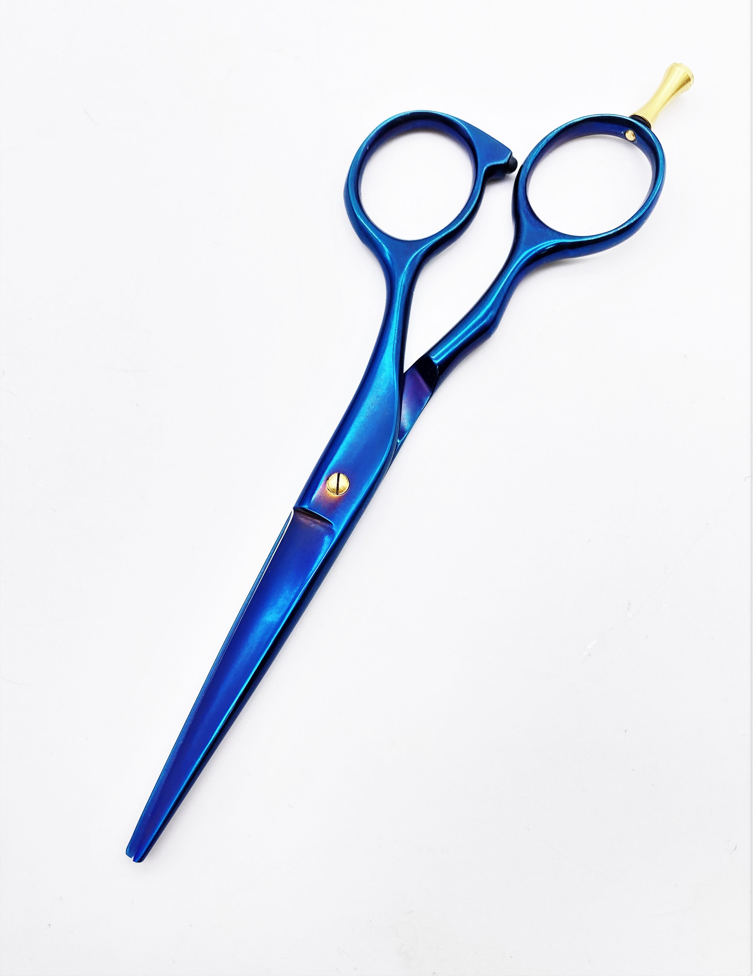NTS Haarschere Ergo Blau Titan Line 5,5"
