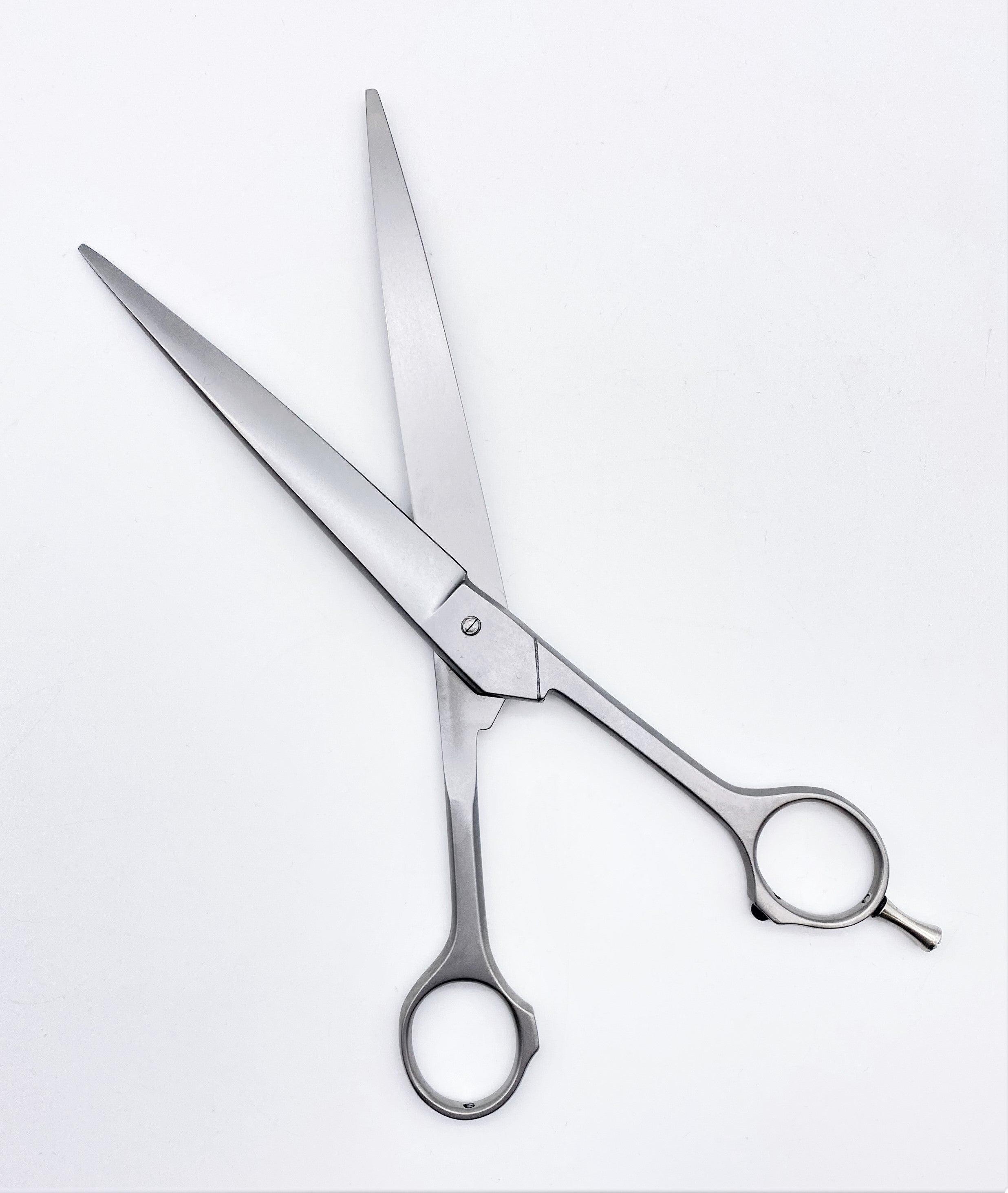 NTS Hundeschere mit gebogenen Schneiden 8"
